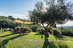 Monaci delle Terre Nere