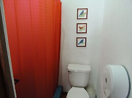 Feathers Hotel and Lounge - Hostel