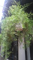 Green Coco Homestay Hoi An
