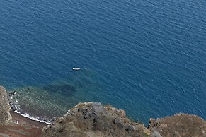 Helianthus Suites