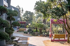 The Some Pension