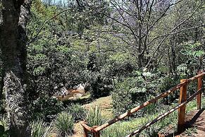 Sabi Star Chalets