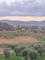 Fattoria di Maiano