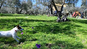Fattoria di Maiano