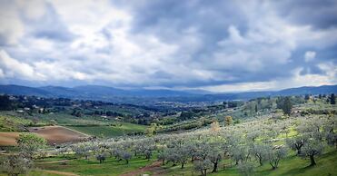 Fattoria di Maiano