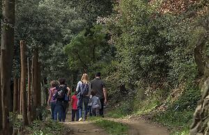 Fattoria di Maiano