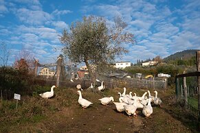 Fattoria di Maiano