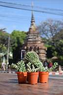 See You Soon Chiangmai