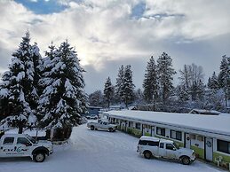 Cedars Motel