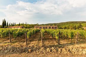Tenuta Casteani