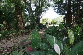Tanager Rainforest Lodge
