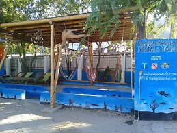 Taganga Paradise Hostal & Diving - Hostel