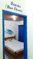 Taganga Paradise Hostal & Diving - Hostel