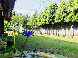 Mutiara Bali