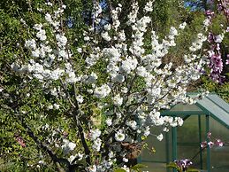 Hazelwood Mapua B&B