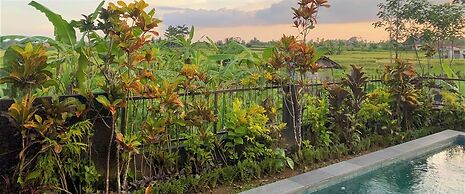 Devi's Place