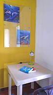 Aluna Hostel B&B