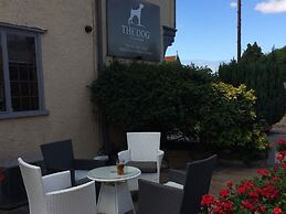 The Dog at Wingham