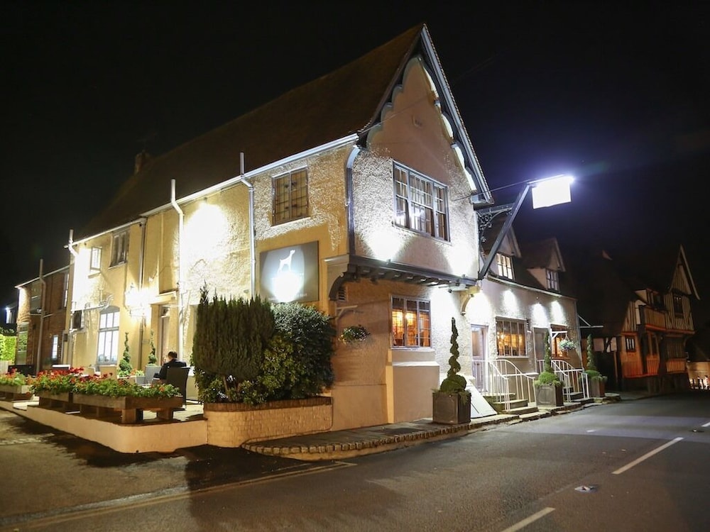 The Dog at Wingham