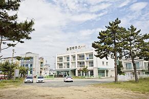 Solsum House