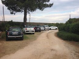 Mazzara Farm