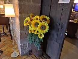Hotel Rural Latorrien de Ane