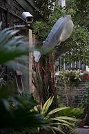 Birdeye Garden