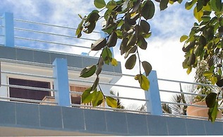 High Steps Pension