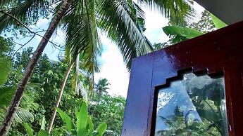 Jungleside House