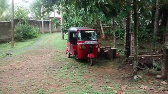 Jungleside House