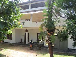 Jungleside House