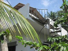 Jungleside House
