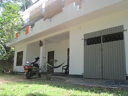 Jungleside House