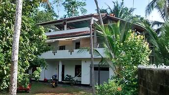 Jungleside House