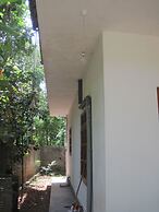 Jungleside House