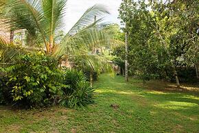 Jungleside House