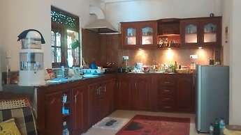 Jungleside House