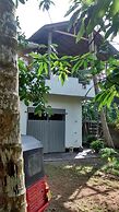 Jungleside House