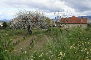 Villa Silene