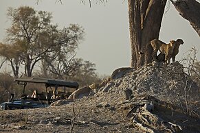 Selinda Camp