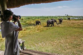 Selinda Camp
