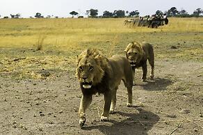 Selinda Camp