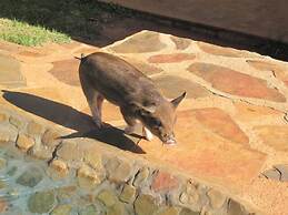 Caracal Lodge