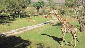 Caracal Lodge