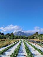 Vindoux Guest Farm and Day Spa