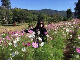 Mong Homestay Resort