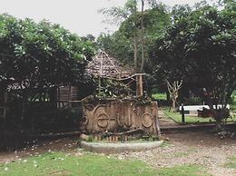 Re - Wild House