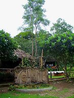 Re - Wild House