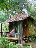 Re - Wild House