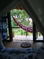 Re - Wild House